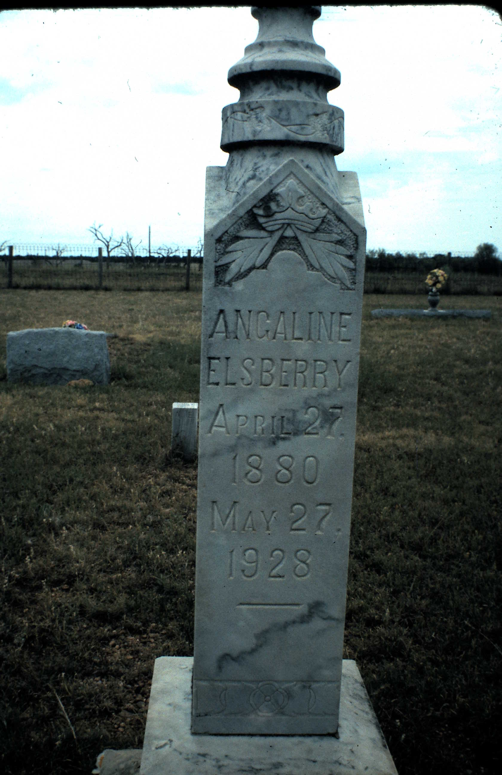 Elsberry Family Photos